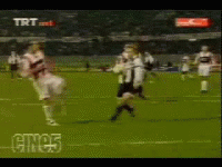 chinese ����.gif