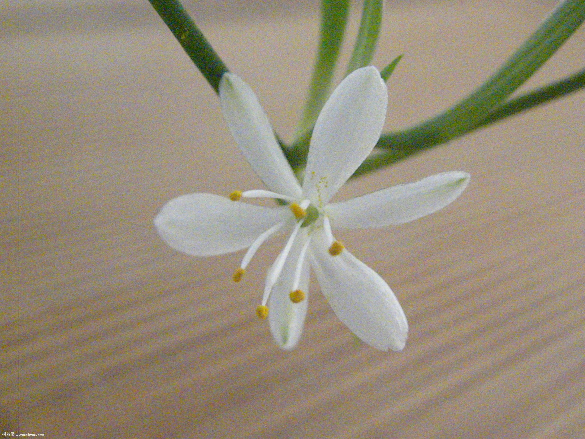 DSCN0454.JPG