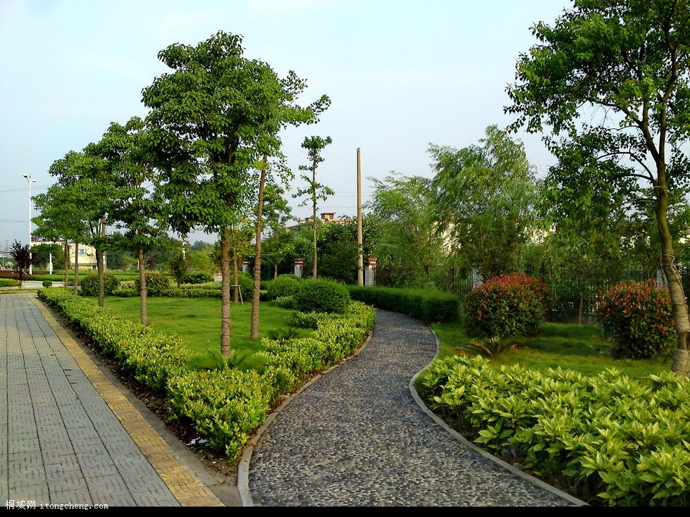 tt (1)_������С.JPG