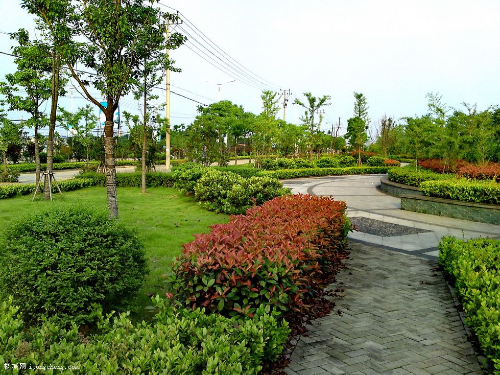 tt (4)_������С.JPG