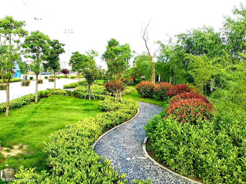 tt (7)_������С.JPG