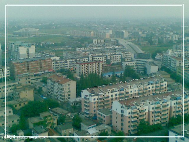 20100618_004.jpg