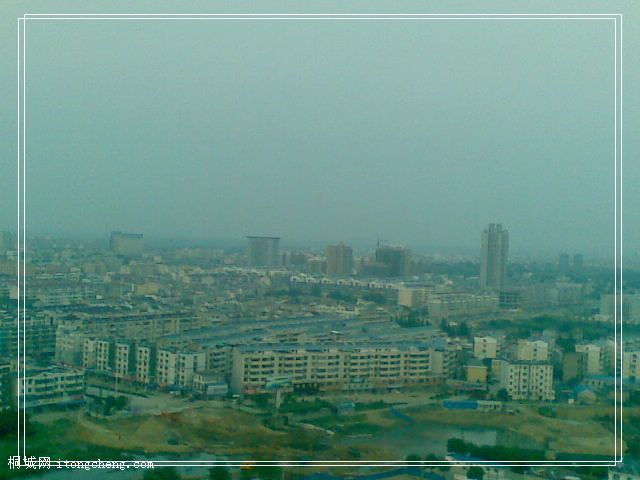 20100618_003.jpg