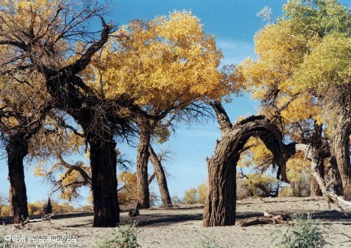 t e54jIz_XRkHqagOkZN6.jpg