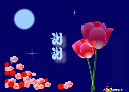 6e26b001306b8031738b6582.gif