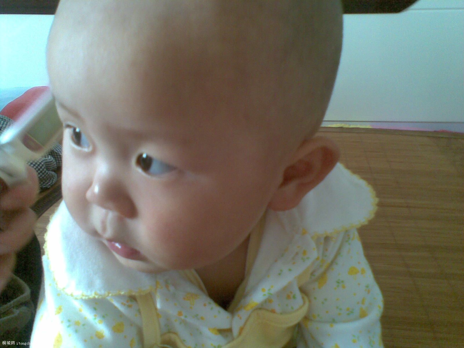 20100626(009).jpg