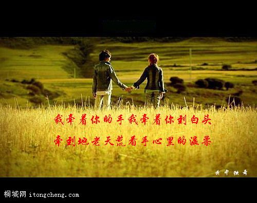 20080201_39c9fe4bb5c36d0cca94JMxuwzecaIeY.jpg