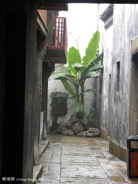 SSCN0699.JPG