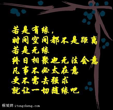 d776d4f2fce4fe0ab17ec520.jpg