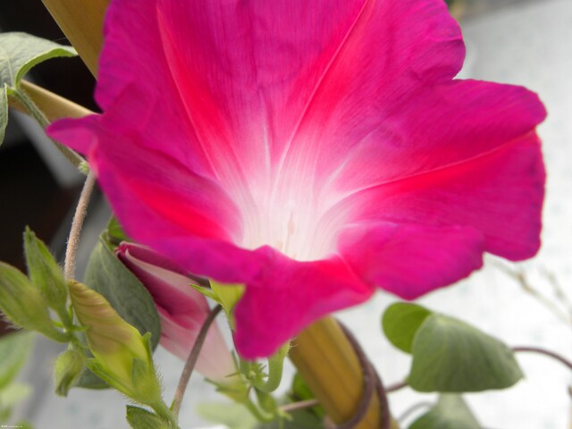 DSCN0707.JPG