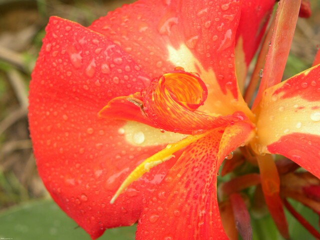 DSCN0709.JPG
