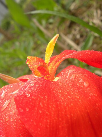 DSCN0711.JPG