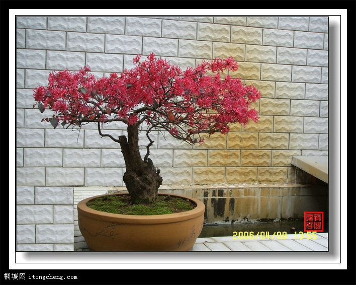 SSL12689_.JPG