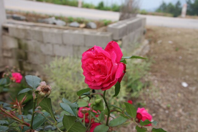 IMG_0411.jpg