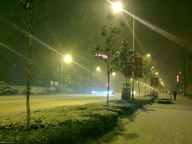 20100213344.jpg