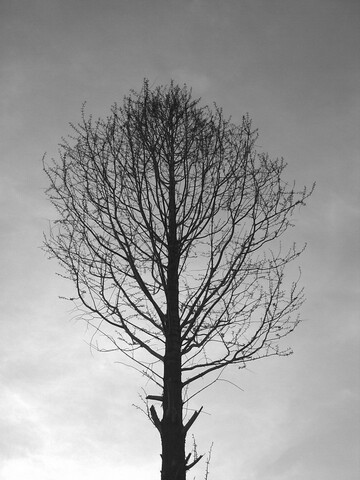 20100327625.jpg