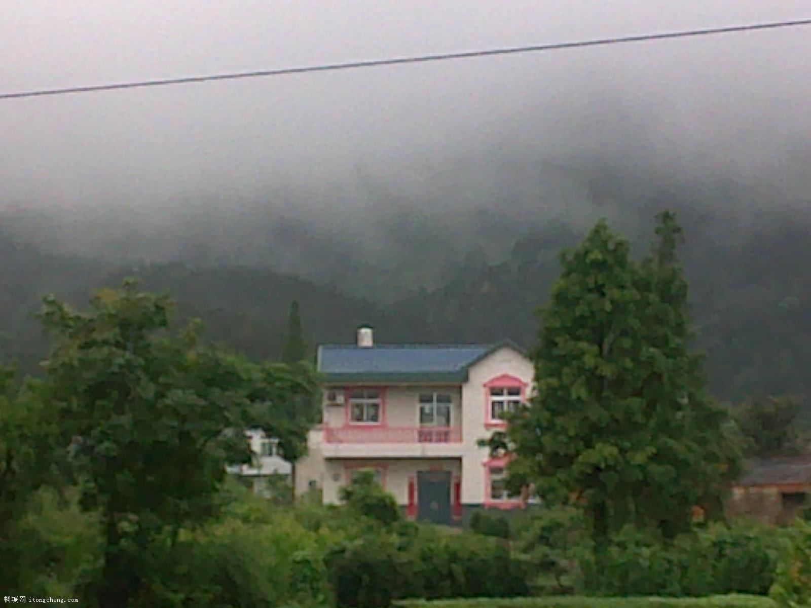 20100708356.jpg