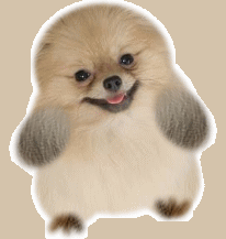 㿪ģҿ֣(1).GIF