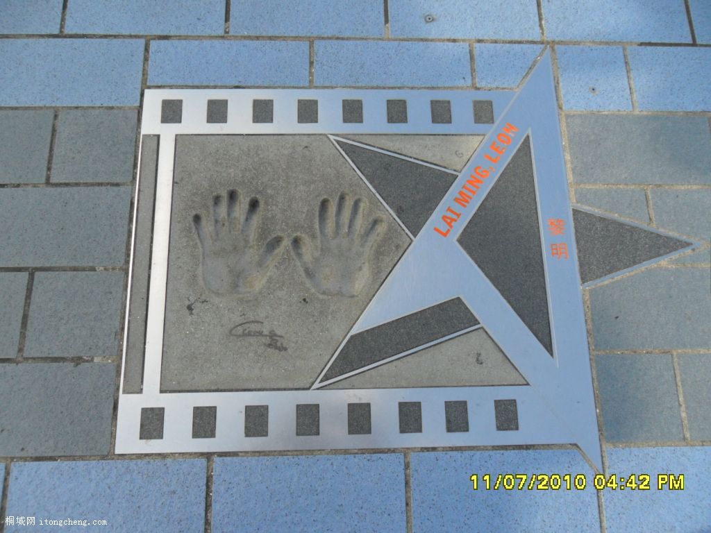 SAM_0203.JPG