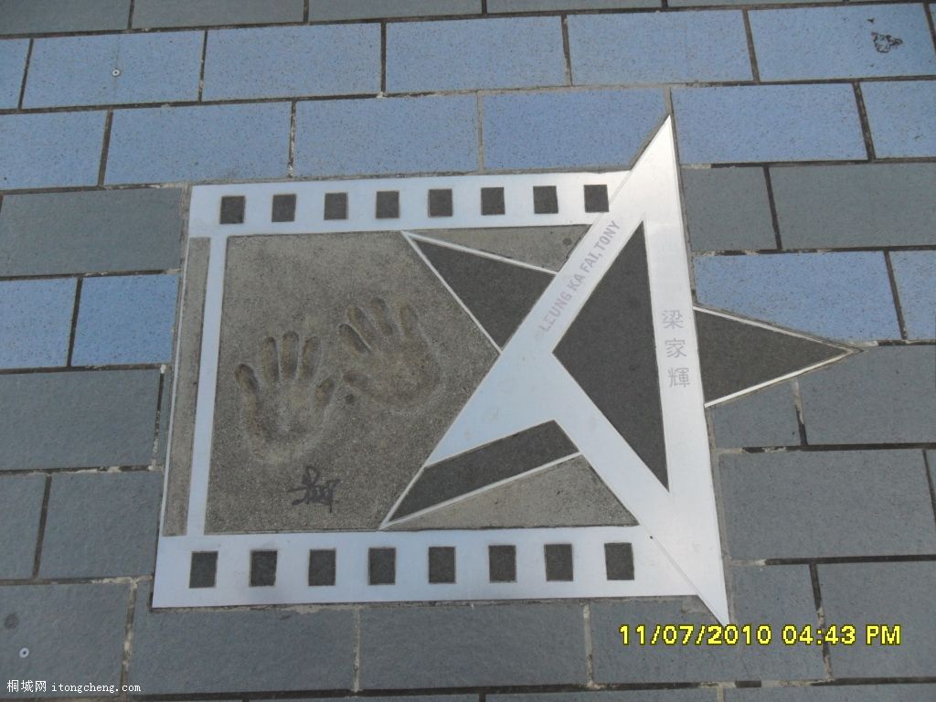 SAM_0207.JPG