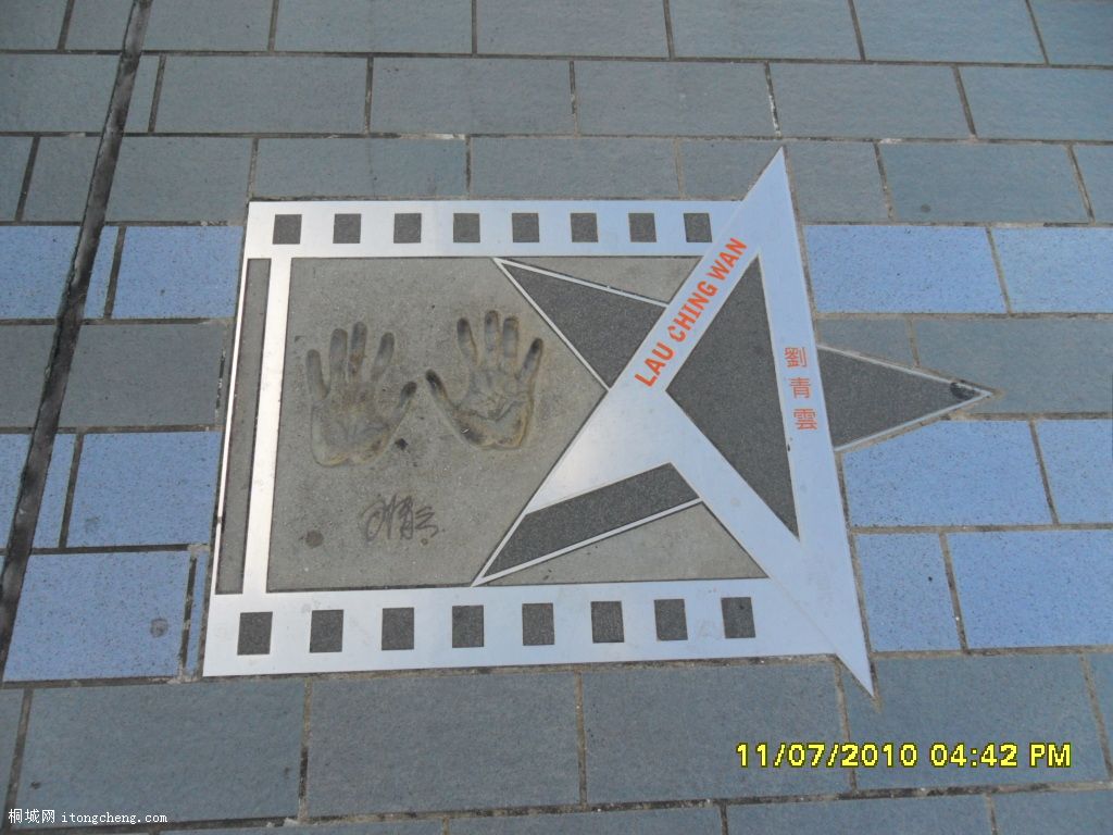 SAM_0205.JPG