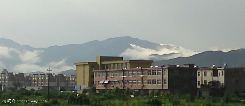 2010.07.221.jpg