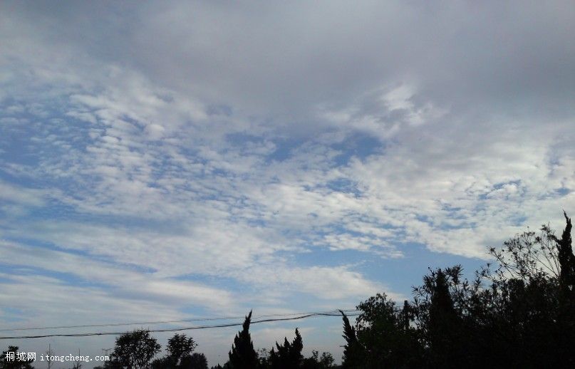 2010.07.171.jpg