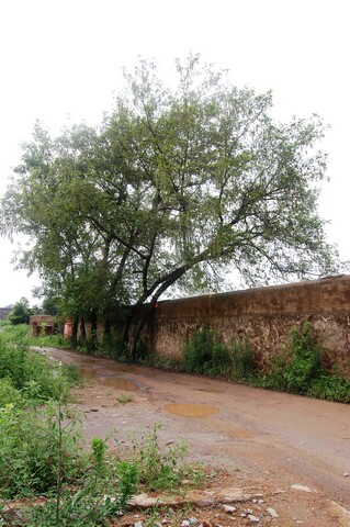 DSC_0102.jpg