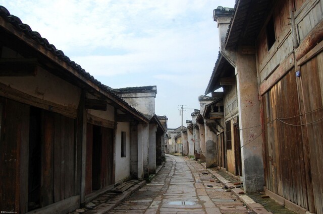 DSC_0113.jpg