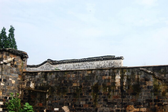 DSC_0121.jpg