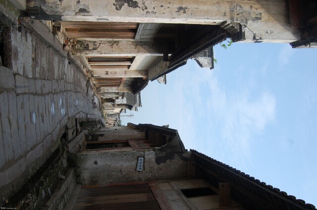 DSC_0142.JPG