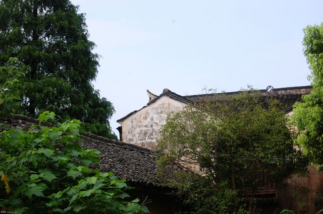 DSC_0175.jpg
