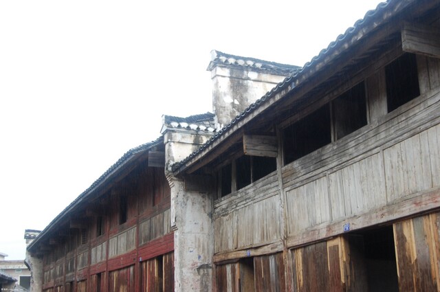 DSC_0214.jpg