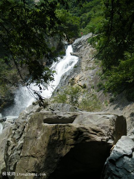 DSCF6799.jpg
