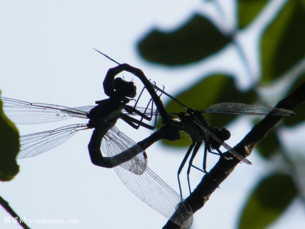 DSCF6670.jpg