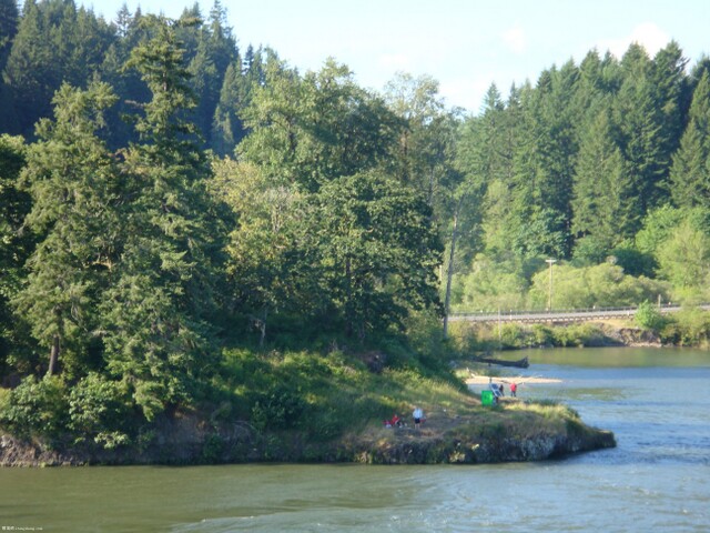 DSC00248.JPG