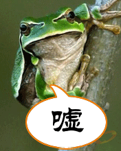 .gif