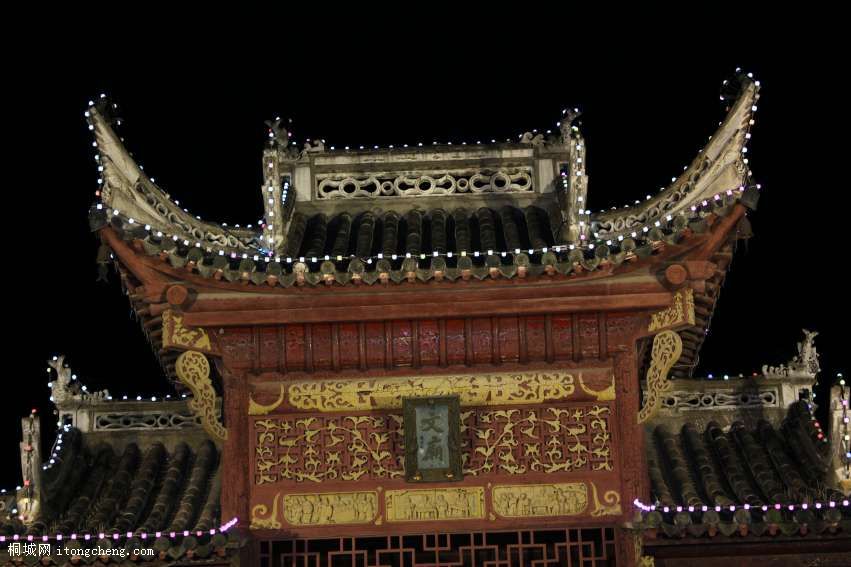 IMG_0204_conew1.jpg