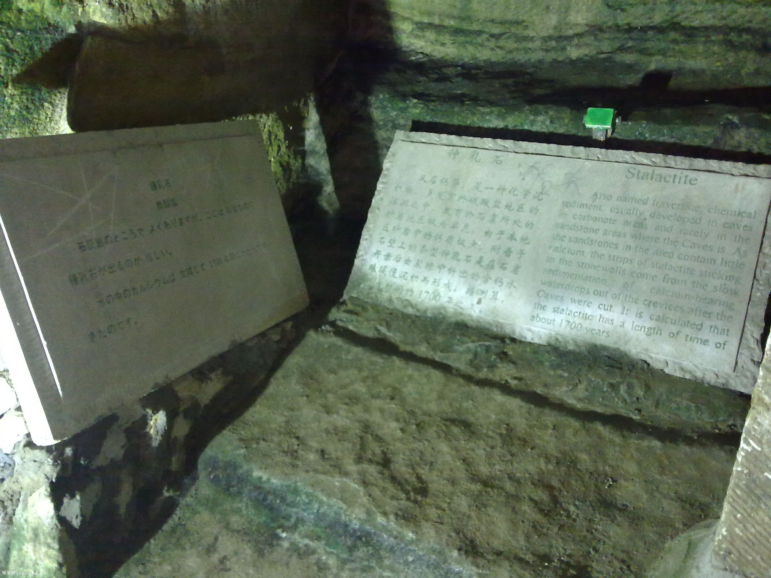 20100811047.jpg