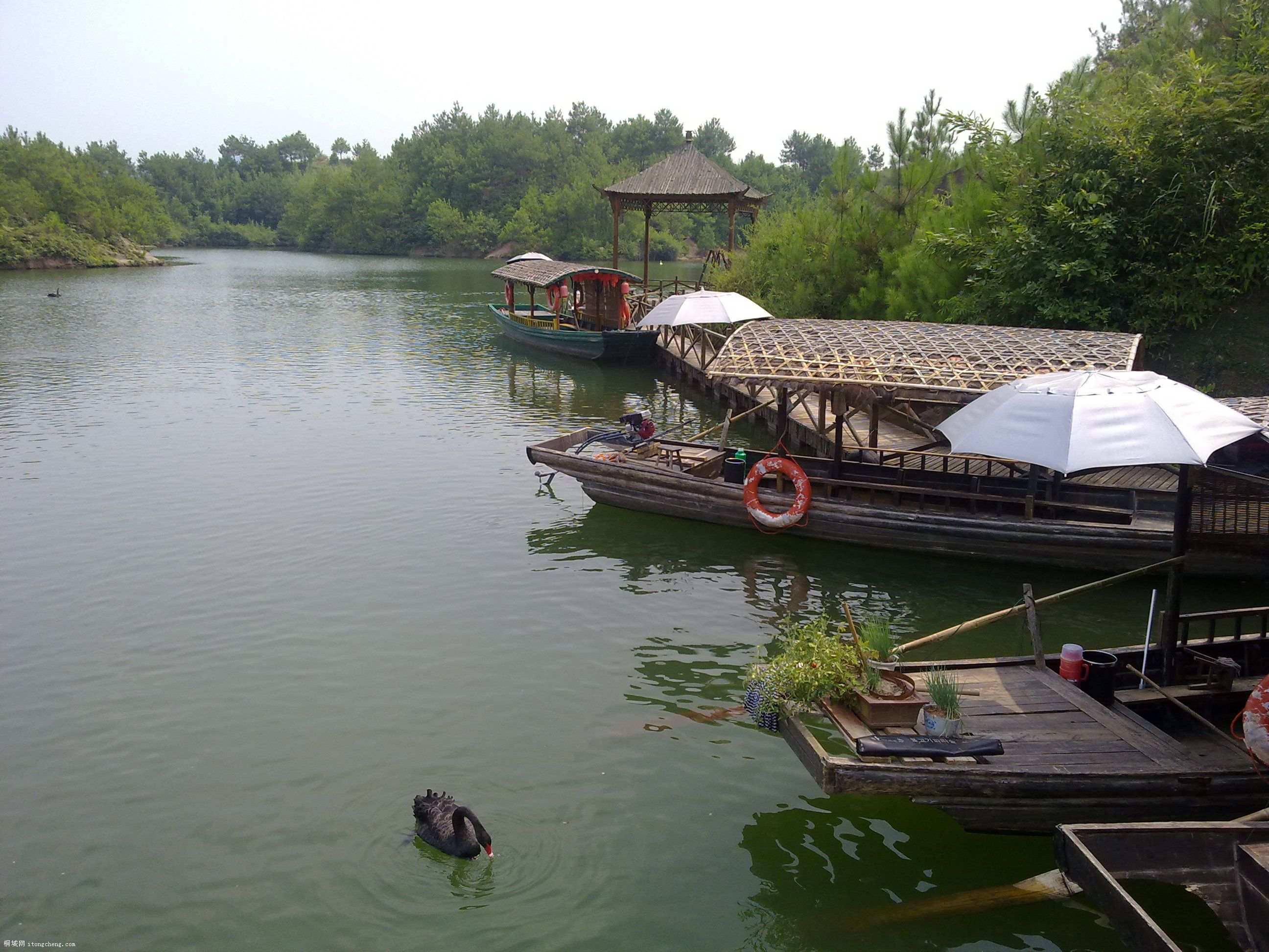 20100811062.jpg