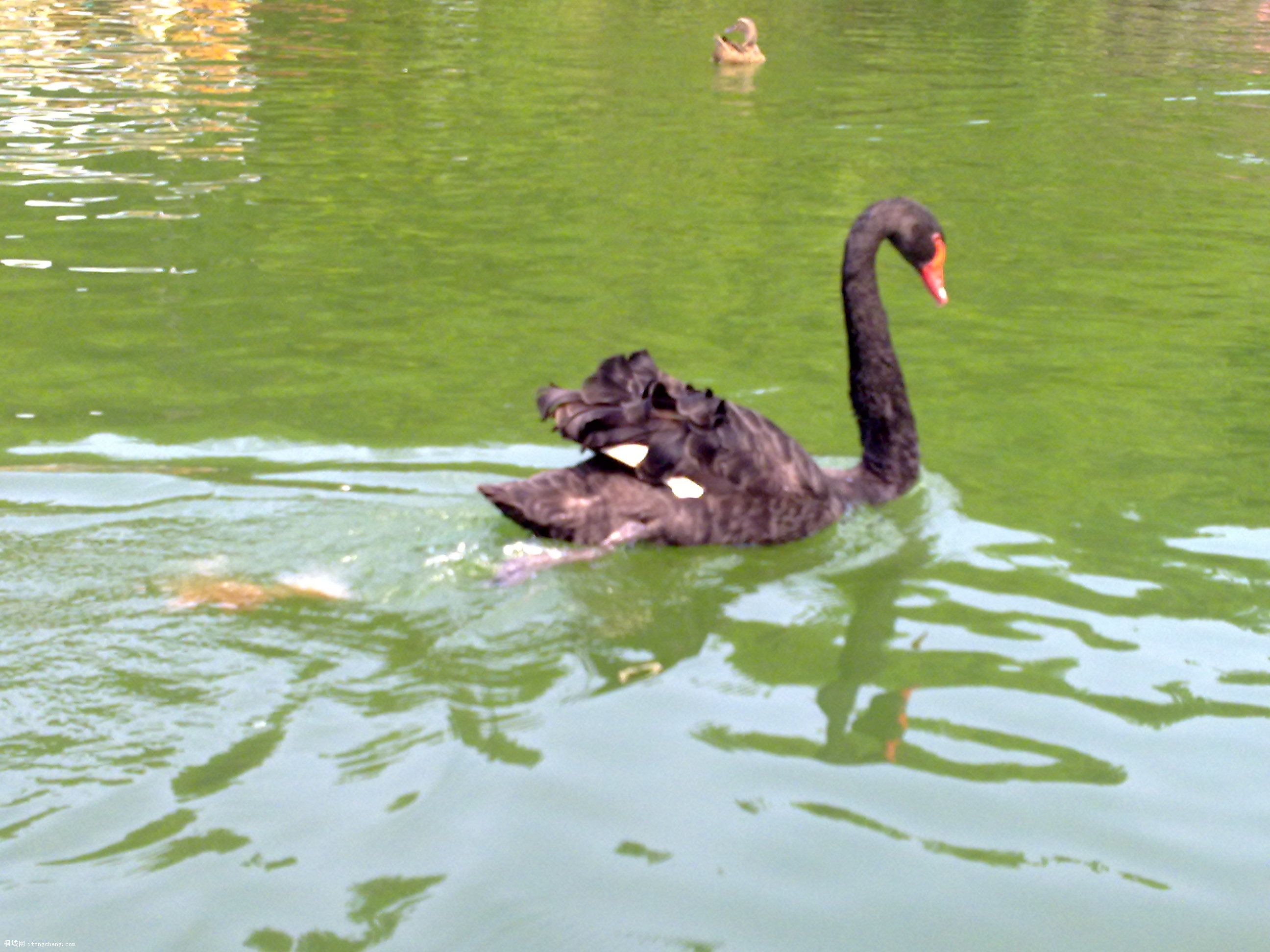 20100811065.jpg