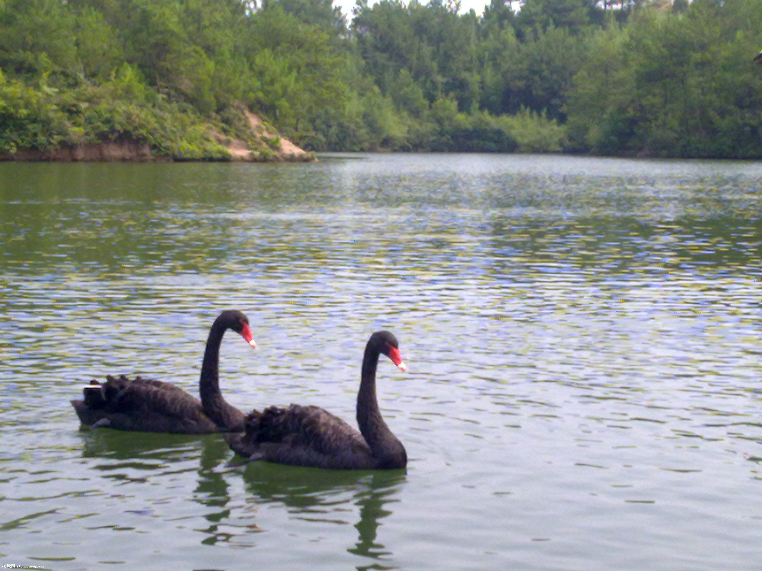 20100811064.jpg