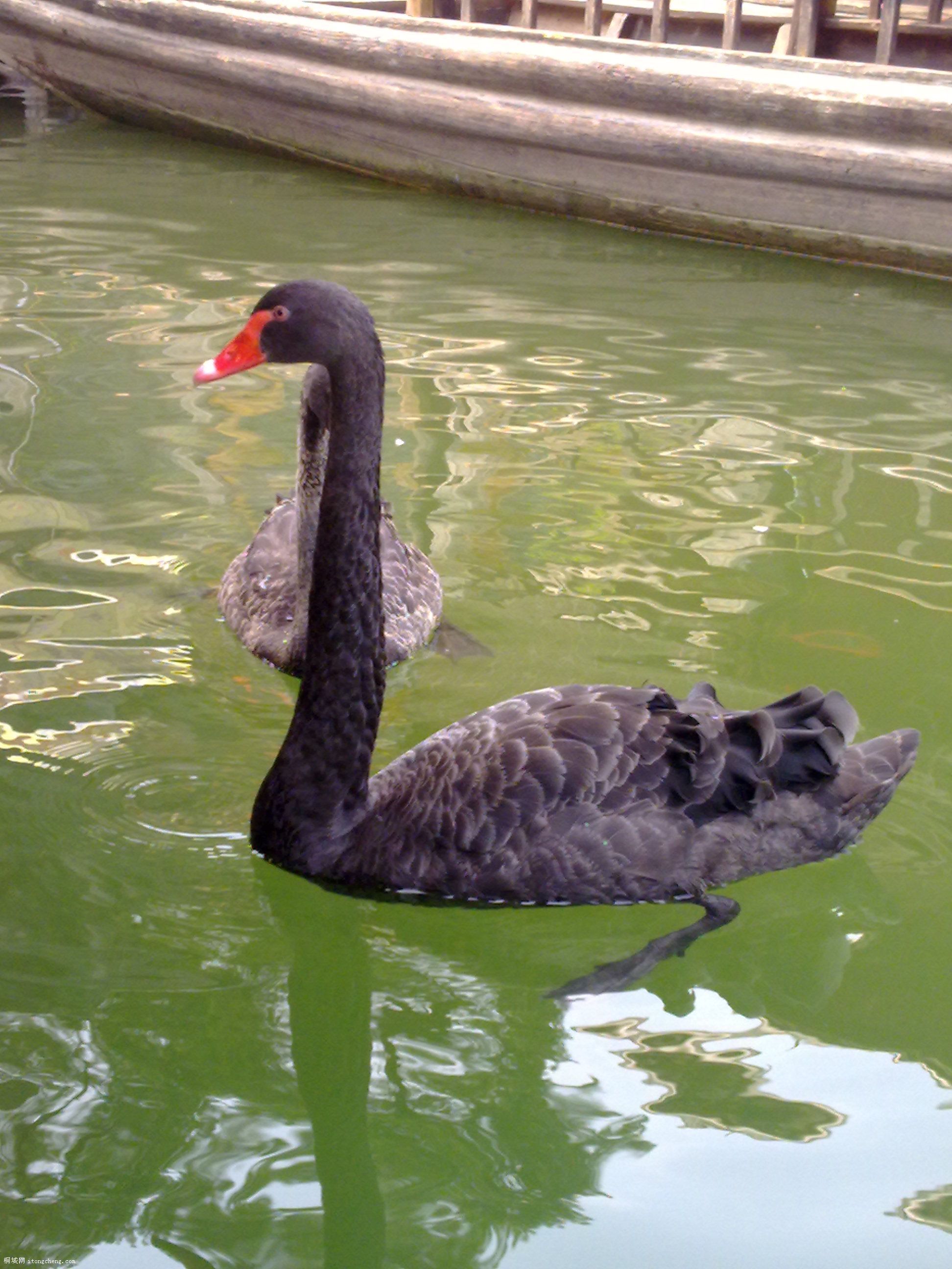 20100811066.jpg