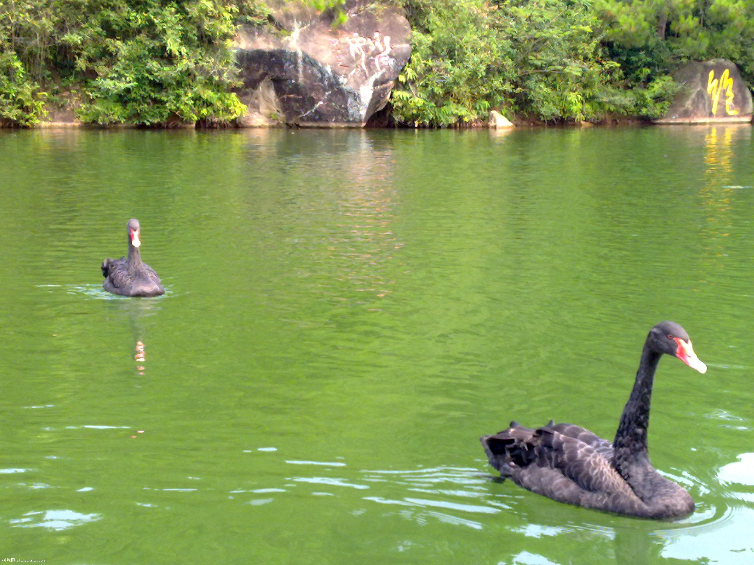 20100811067.jpg