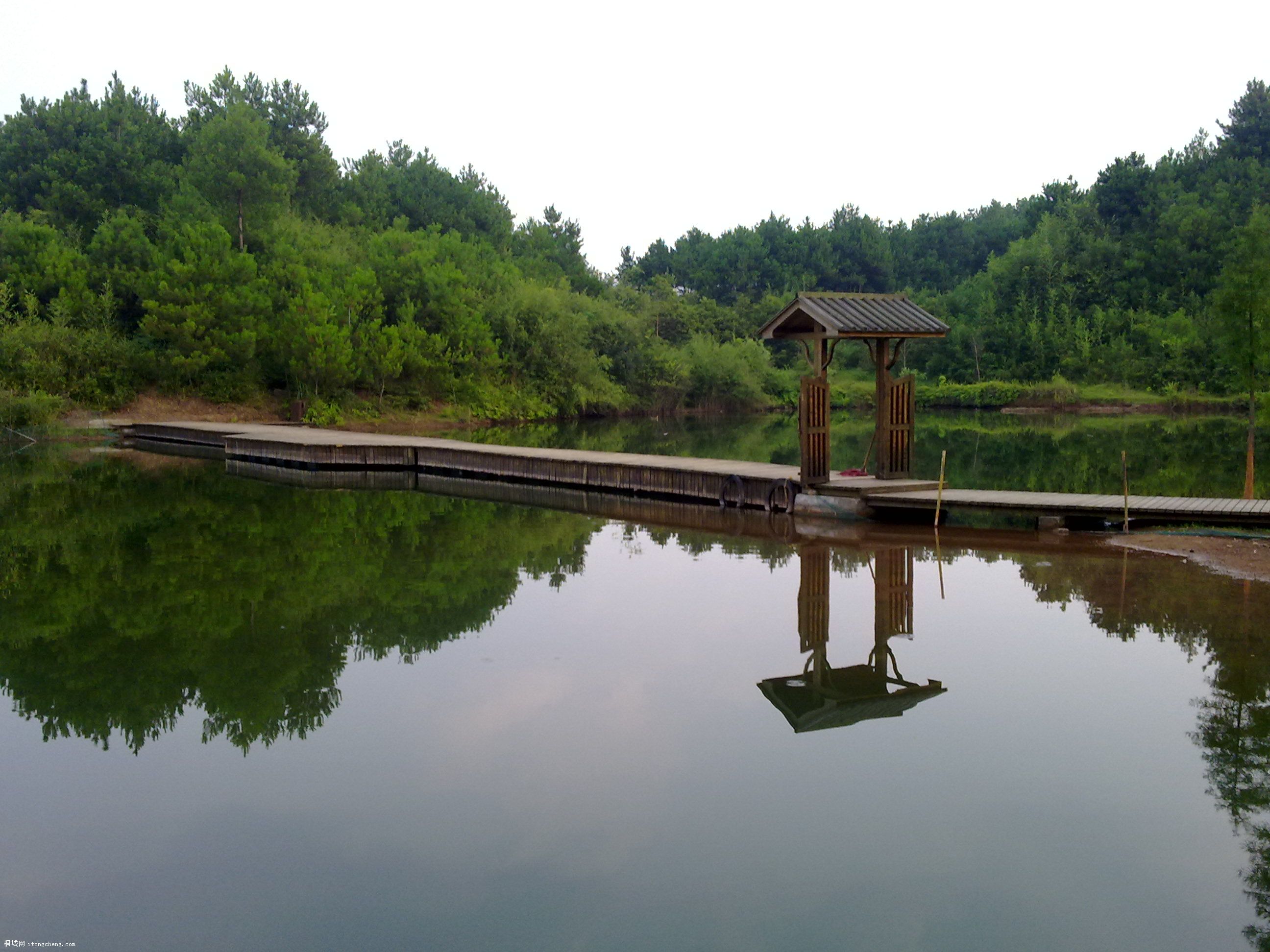 20100811069.jpg