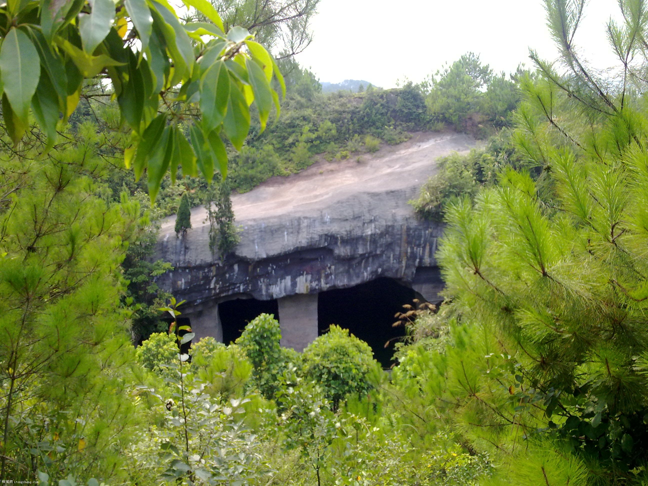20100811068.jpg