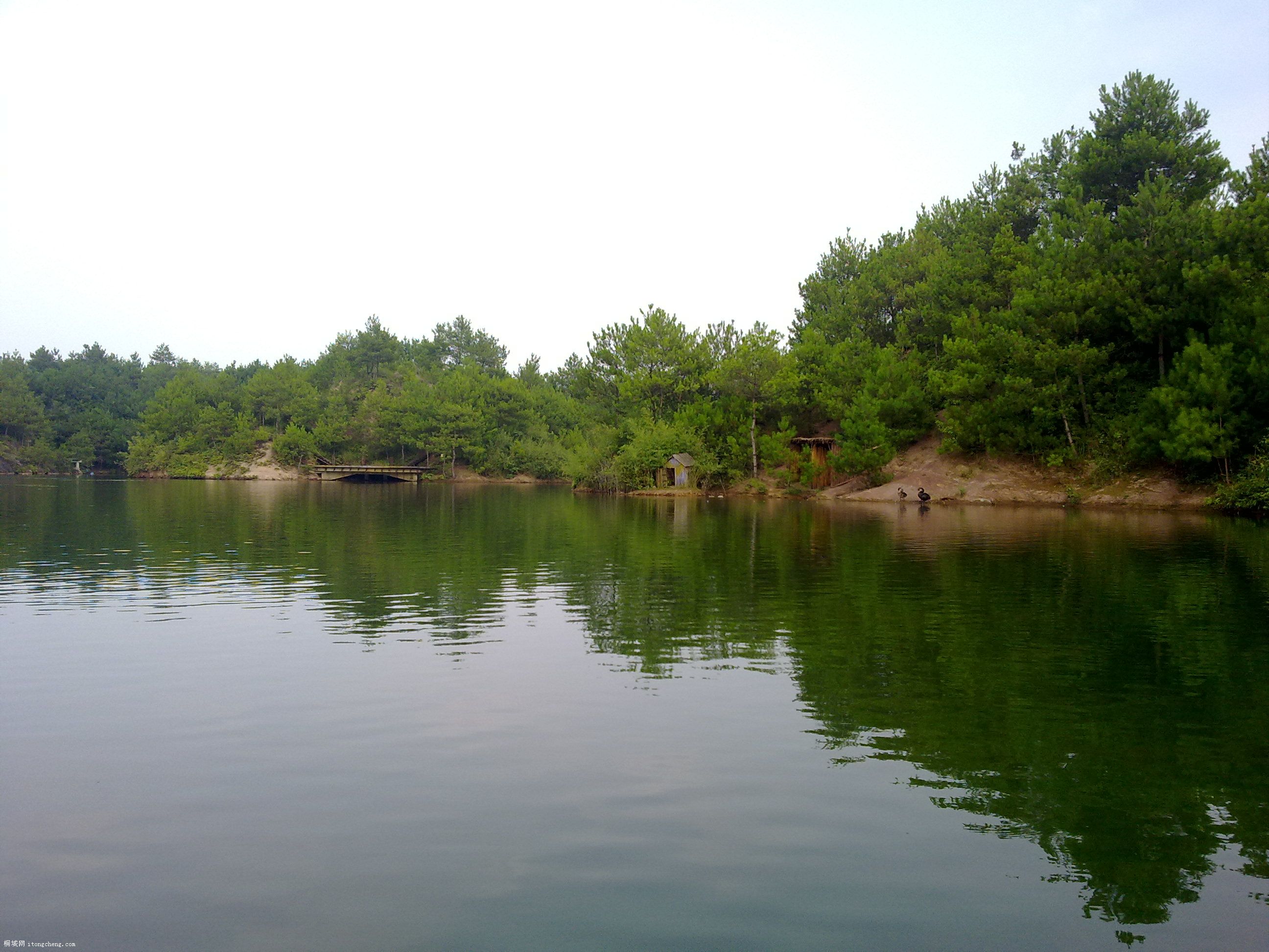 20100811071.jpg