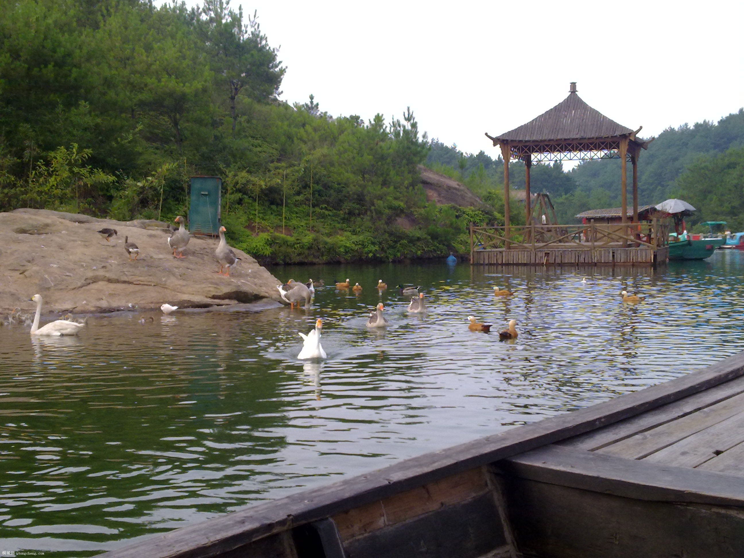 20100811072.jpg
