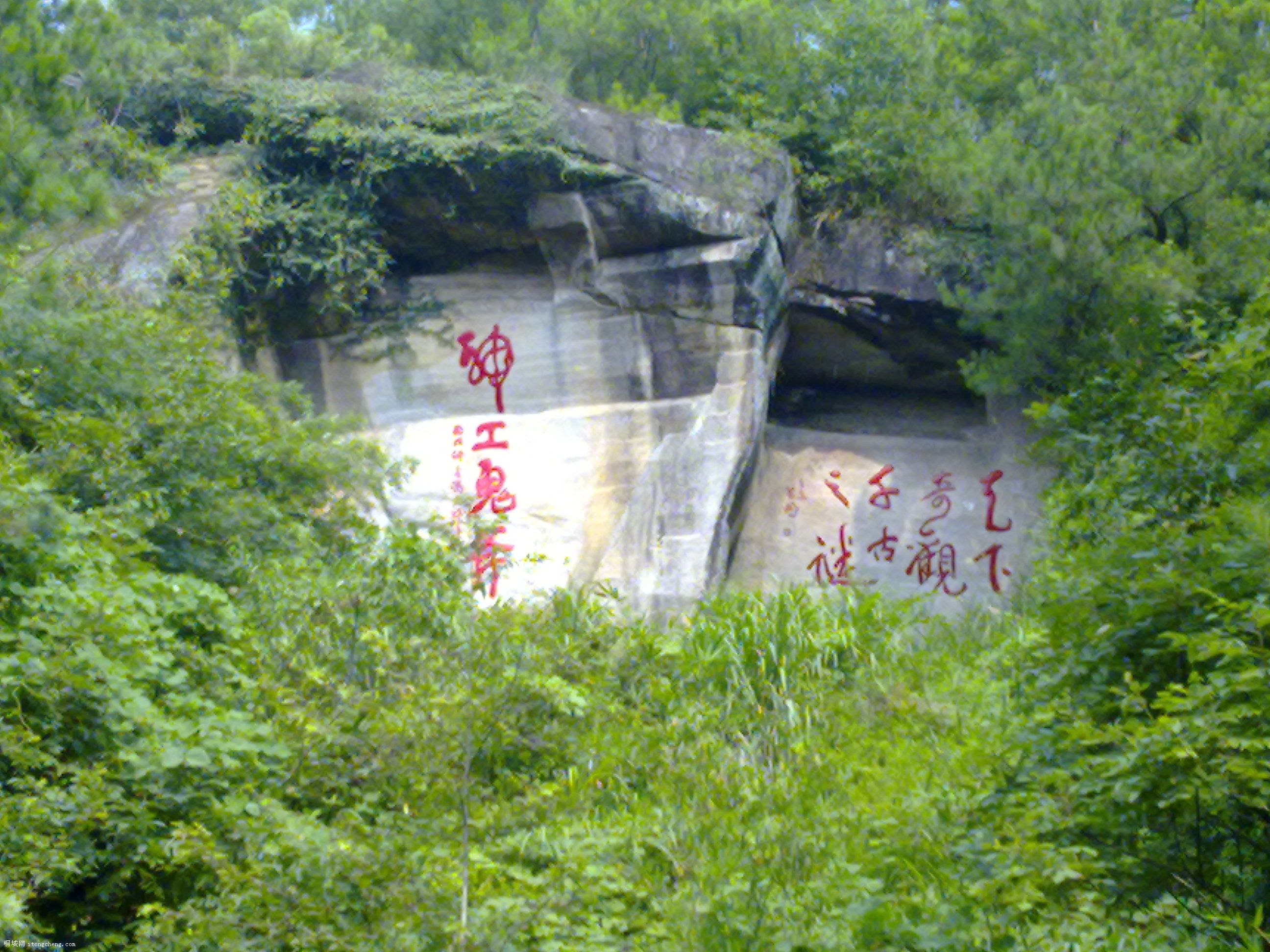 20100811083.jpg
