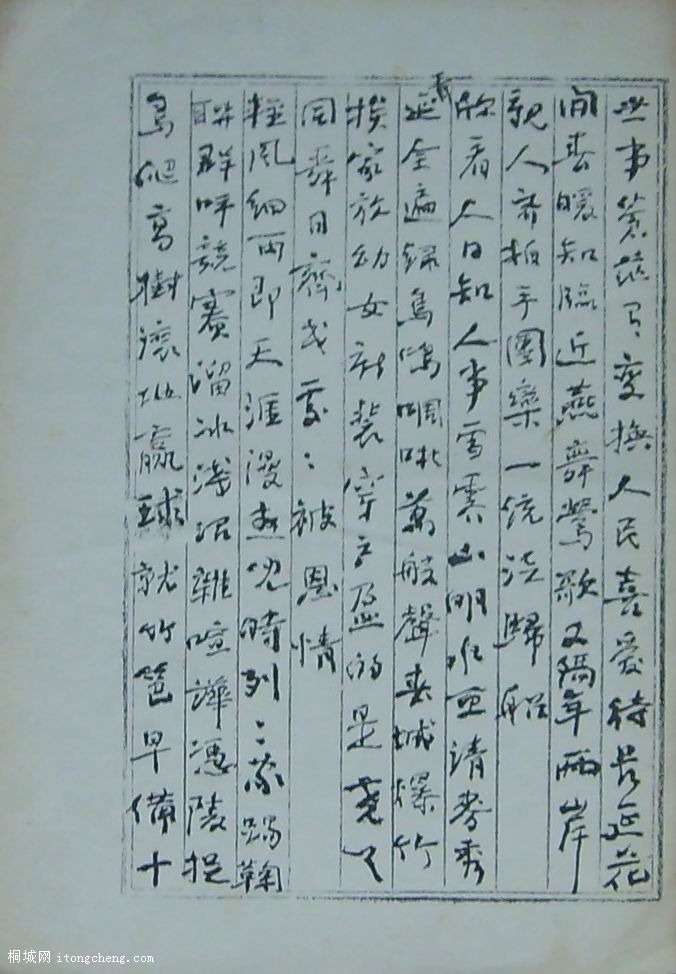 S6003762.jpg